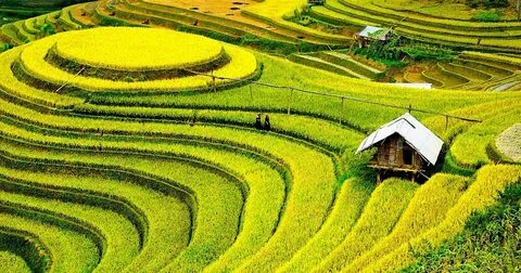 Top 10 trường tỷ lệ 'chọi' vào lớp 10 cao nhất TP.HCM 2025_video ngắn trên TikTok